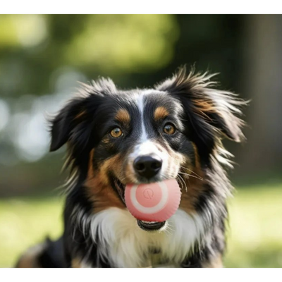 Pelota  Inteligente y Saltarina para perros y gatos